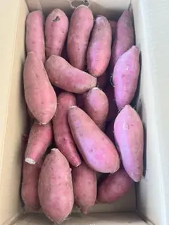 熊本県県産　新物紅はるかA品Mサイズ20キロ