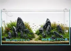 2026年最新】ada 龍王石の人気アイテム - メルカリ