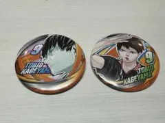 ハイキュー!! ファンパーク コレクション缶バッジ 影山飛雄 2個セット