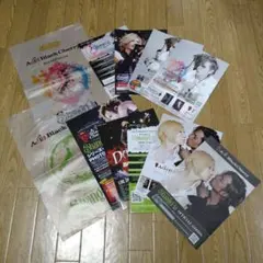 Acid Black Cherry Shangri-laツアー　フライヤーセット