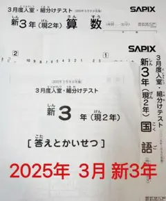 2025年最新】サピックスの人気アイテム - メルカリ