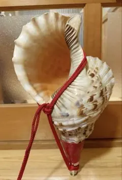 法螺貝 ホラ貝 約38cm 重量1276g(紐込) 山伏 修験道 魔除け 現状品 法螺貝 ホラ貝 約38cm 重量1276g(紐込) 山伏 修験道 魔除け 現状品