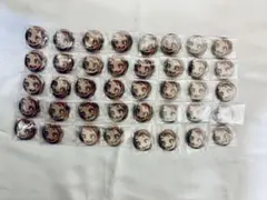 ヒロアカ 全サ ディスプレイ缶バッジ 麗日お茶子