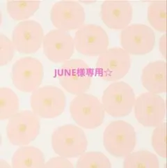 【JUNE様専用】ハンドメイドトートバッグ　帆布