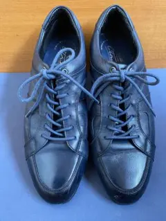 Item thumbnail for item 84380c7b-1066-4e31-acd5-3db258662dac