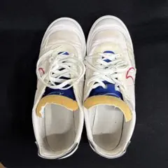 Nike スニーカー ホワイト/ブルー/レッド