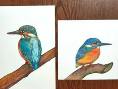 鳥の絵 アクリル画no.66 カワセミ ミニ絵画 - メルカリ