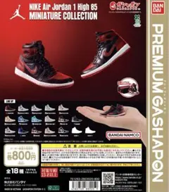 NIKE Air Jordan 1 エアジョーダン ガチャ ROYAL