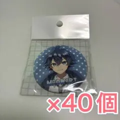 ひめ様　カラフルピーチ　なおきり　缶バッジ80個 からぴちピクニック ひめ様 カラフルピーチ なおきり 缶バッジ80個 からぴちピクニック