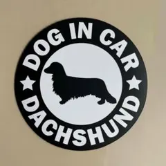 Item thumbnail for item 15f8cf2d-8faf-45af-a2d4-03d98937cce3