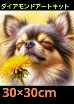 スミレ様 リクエスト 2点 まとめ商品