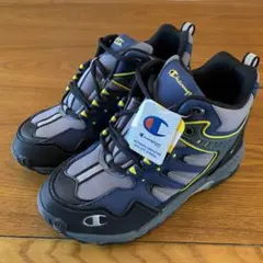 Item thumbnail for item 02f9fd00-edca-4f3e-9ad3-994484bb5d99