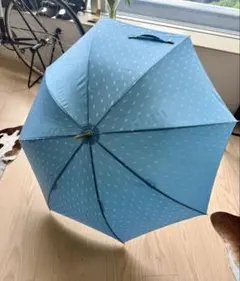 ✳️難アリPOLO RALPH LAUREN 長傘　レディース ❤️送料無料