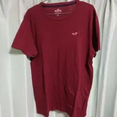 Hollister クルーネックTシャツ バーガンディ