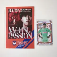 Item thumbnail for item acf4ba28-36d7-4f79-b23a-fb660eb8d7c2