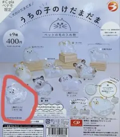 #C-plaペテモ　うちの子のけだまだま　犬　チワワ(白)限定