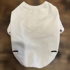 Item thumbnail for item c9fba567-f006-44f7-bf94-155c4176eb4f