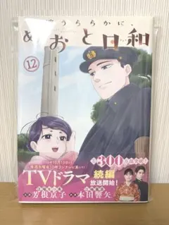 波うららかに、めおと日和(12)