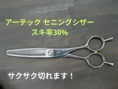 Item thumbnail for item 174a77ce-9b8f-42ff-bd40-418db14dcfde