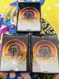 ニューロン　スリーブ　まとめ売り　未開封 スリーブ『LiveTwin(ニューロン)』100枚入り【-】{-}《スリーブ》