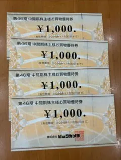 ビックカメラ　株主優待　お買い物券4000円分のサムネイル