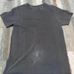 ELEMENT グレー Tシャツ