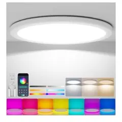 【美品】Coizabera LEDカラーシーリングライト 5500lm RGB