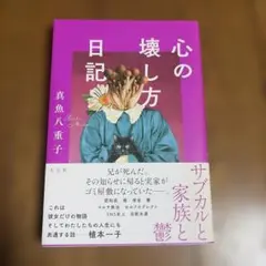 心の壊し方日記 真魚八重子