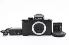 PANASONIC LUMIX DC-G100D ボディ 2072 - メルカリ