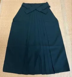 Item thumbnail for item deb93f13-6370-431f-ba94-221ca7d7ce25