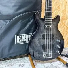 2026年最新】ESP TVBの人気アイテム - メルカリ