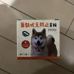 Item thumbnail for item d415030e-0088-4099-8704-828ba8032fa4