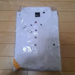 Item thumbnail for item 6d40c8ae-2fce-4119-a459-4c63dd04b3ee