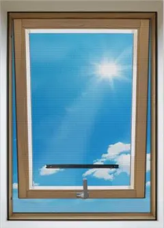 Item thumbnail for item f28b82a7-8b4d-431c-ae60-1f13cb3f9624