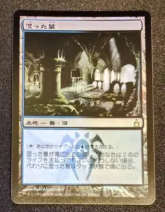 MTG:湿った墓(ボーダーレス、foil) - メルカリ