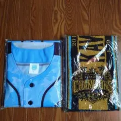 川崎フロンターレ　応援グッズ２点