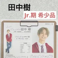 田中樹SixTONES プロフィール データ レア切り抜き【メルカリ便】