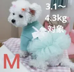 Item thumbnail for item bef264b2-7fbb-4d86-bca9-2d5c3c5df29d