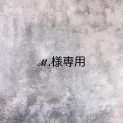 ℳ.様専用ページ♡
