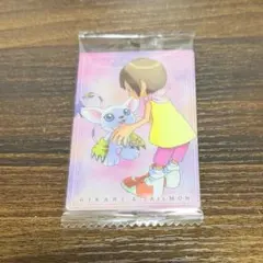 2026年最新】八神ヒカリの人気アイテム - メルカリ