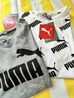 PUMA Tシャツ　2枚組　150と160