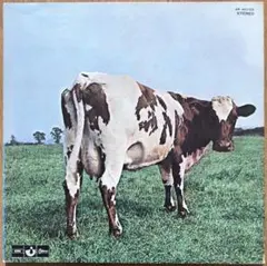 赤盤NM】Pink Floyd / 原子心母 レコード OP-80261 - メルカリ