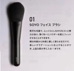 小田切ヒロ】SOYO メイクブラシセット 10本 ケース付き - メルカリ