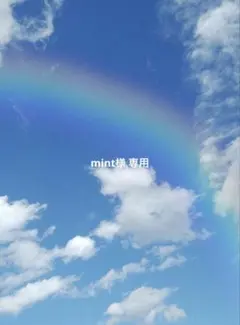 ♡mint様 専用ページ♡シーグラスアート