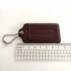 Item thumbnail for item 58464c3c-1ee3-471d-9e1c-fc936ef2e9ba