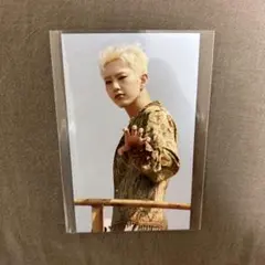 セブチ ホシ トレカ ユニバ ユニバーサル 特典