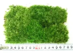 HAL様 リクエスト 2点 まとめ商品