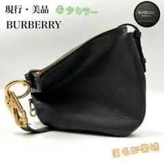✨現行・美品✨　BURBERRY スモール ナイトバッグ　ワンショルダー　希少色