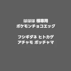 ははは 様専用ページ ポケモンチョコエッグ 4点