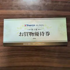 YAMADA HLDGS. お買物優待券 10枚
